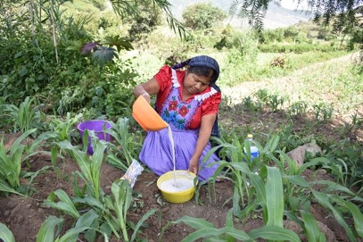 Woman prepares tejate in a field.